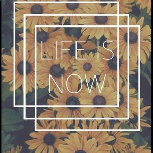 Meet your Posher, Kinzy